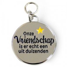08354 Charms for You hangertje - Vriendschap