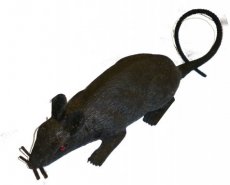 Décoration Rat
