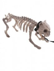 Horreur Squelette Chien 41cm