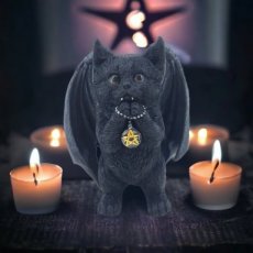 Kat zwart met batwings biddend