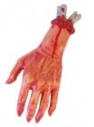 Horror Afgehakte hand